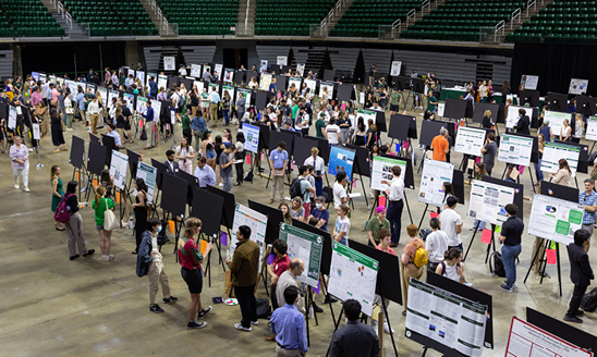 Rows of students stand near their posters in an auditorium and explain their research