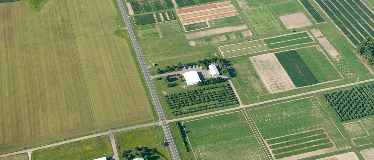 Farm buildings surrounded by fields, as viewed from high above